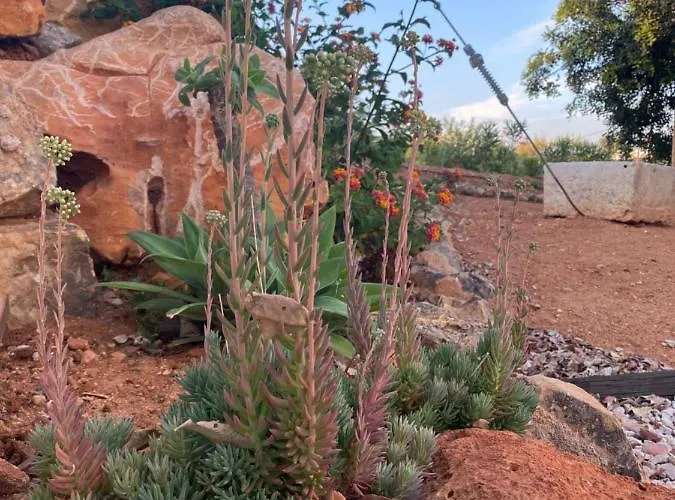 Quinta Do Sr. Cabrita Апартаменти *