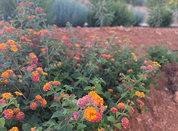 Quinta Do Sr. Cabrita * Албуфейра