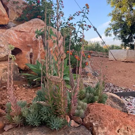 Quinta Do Sr. Cabrita 아파트 *