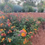Quinta Do Sr. Cabrita * 阿尔布费拉